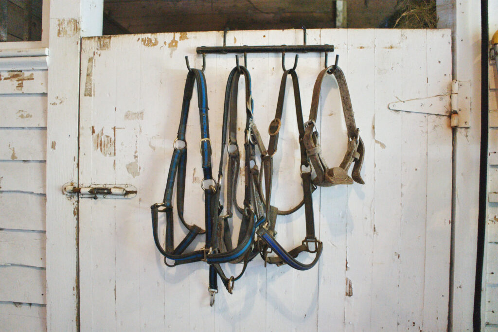 Bridles and Bits