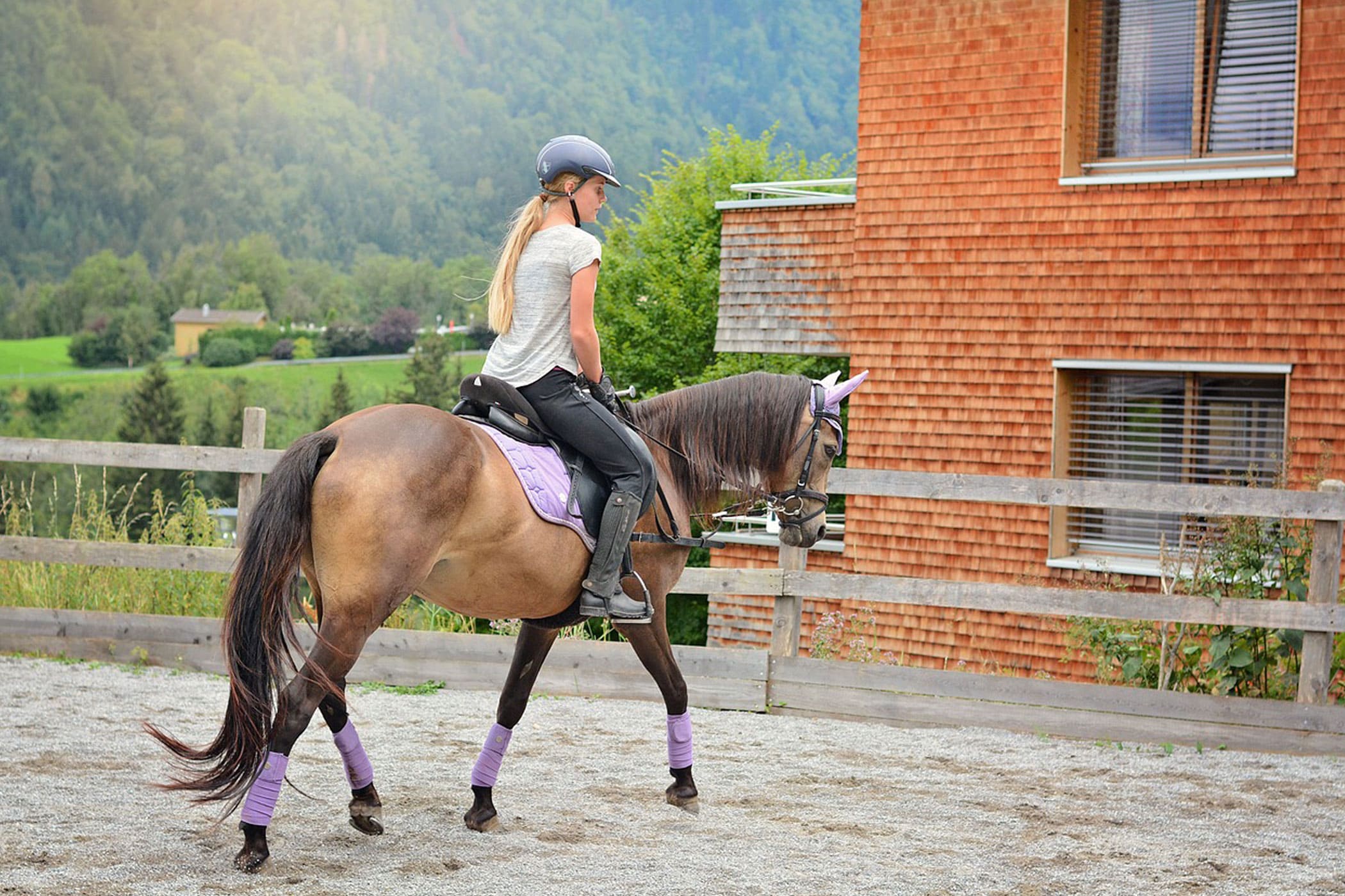 Tips for Overcoming Confirmation Bias in Equestrian Pursuits