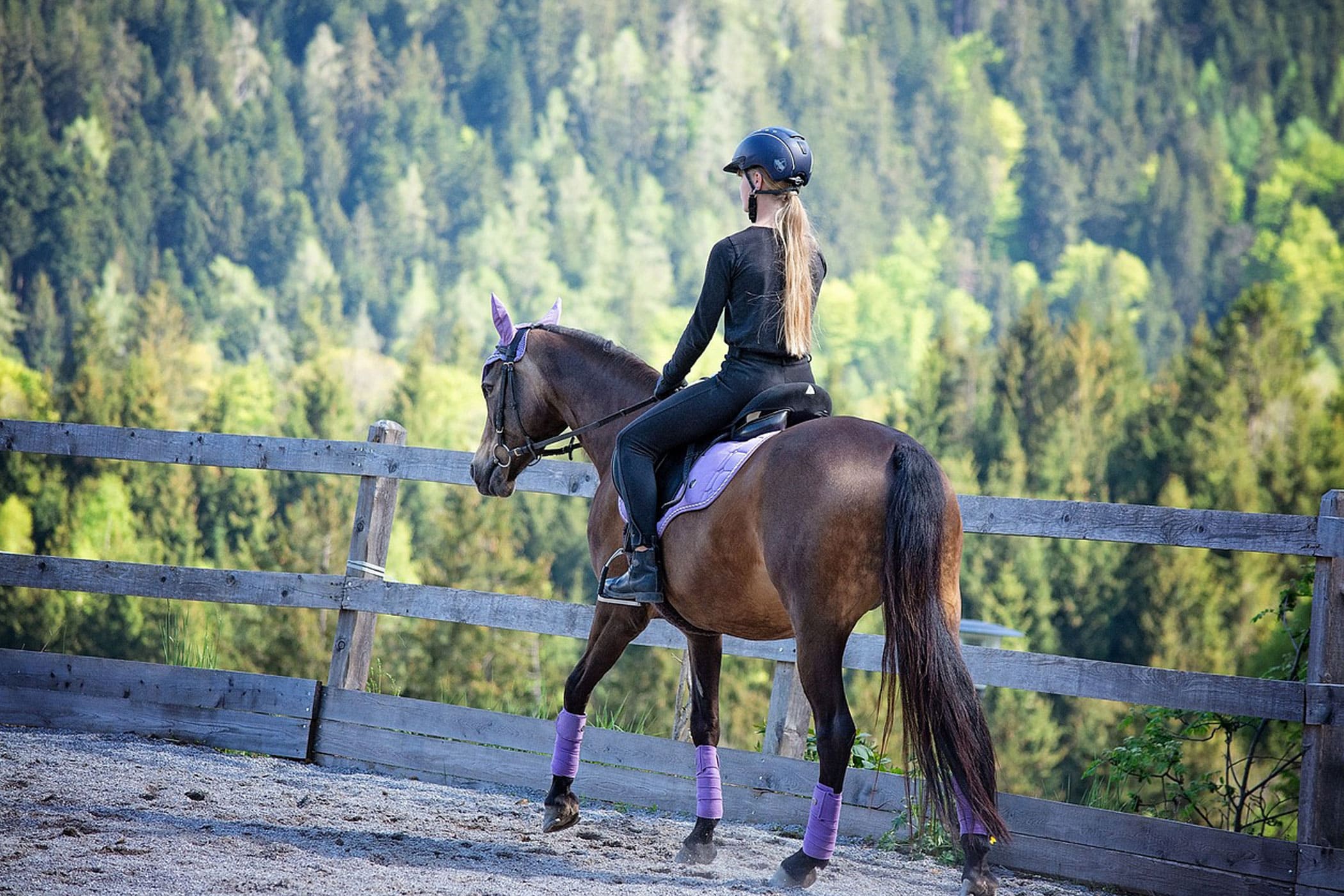 The Taylor-Made School of Horsemanship: Empowering Recovery through Equine Therapy