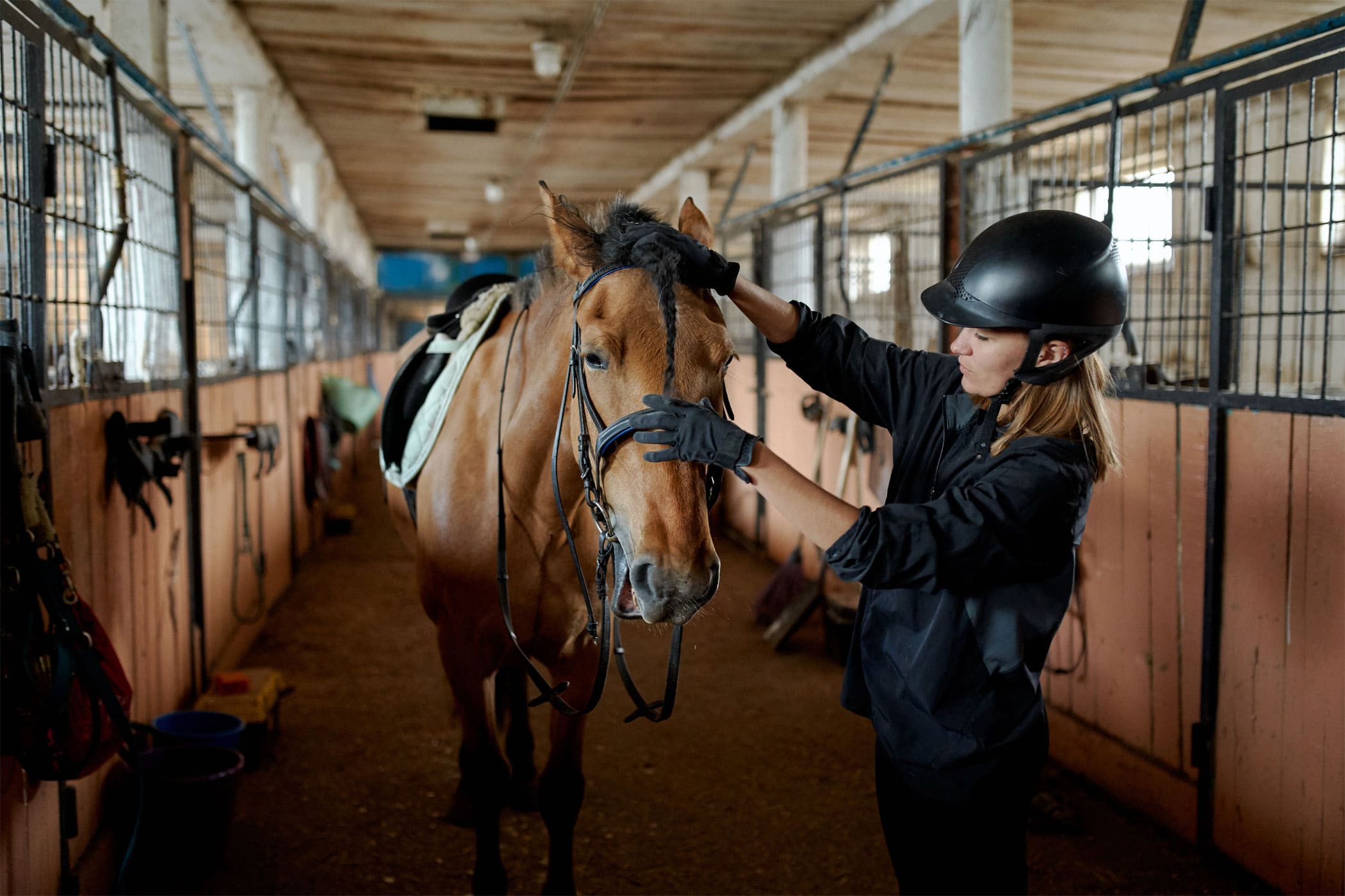 The Inspiring Journey of an Equestrian with Disabilities