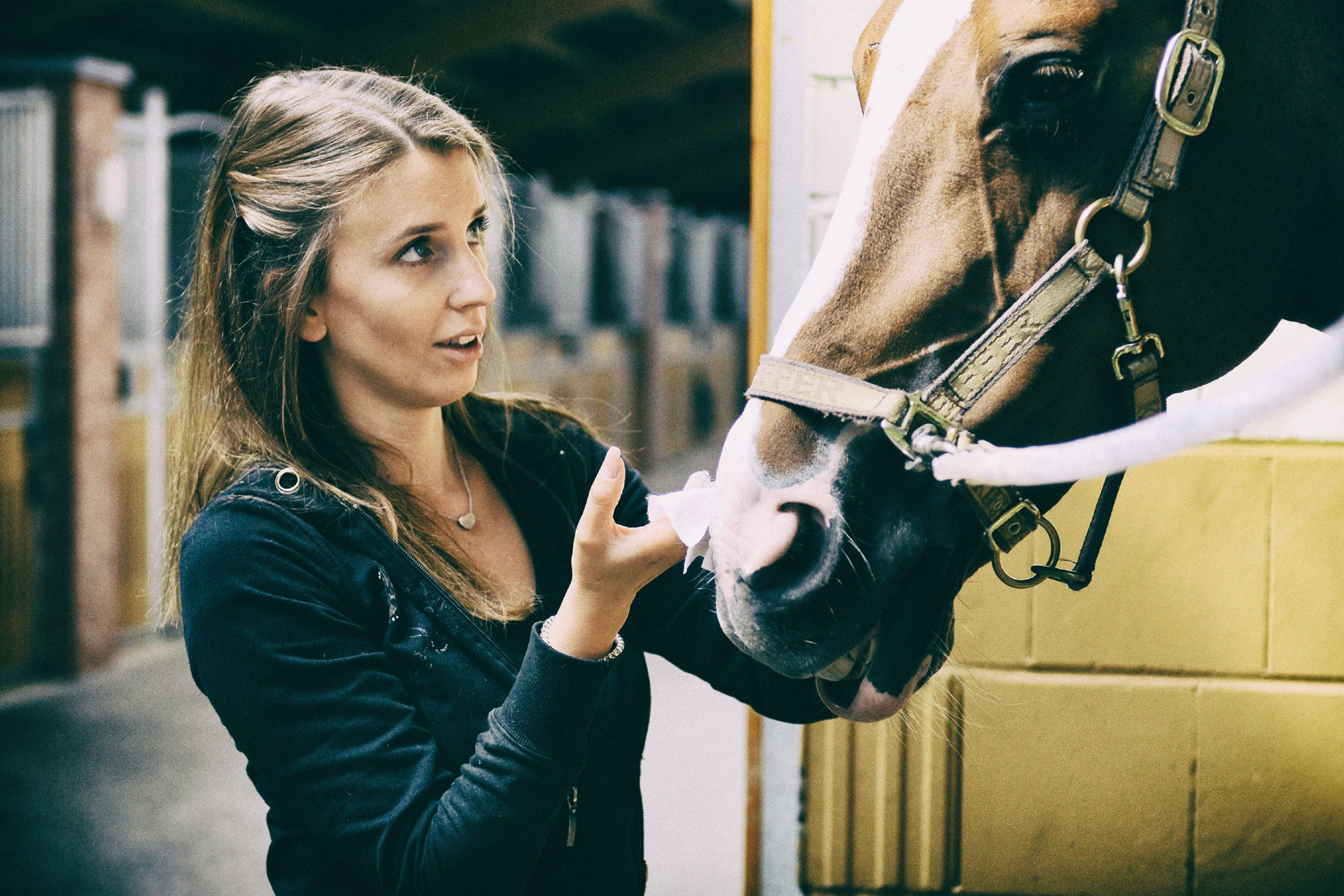 Essential Fall Horse Care Tips
