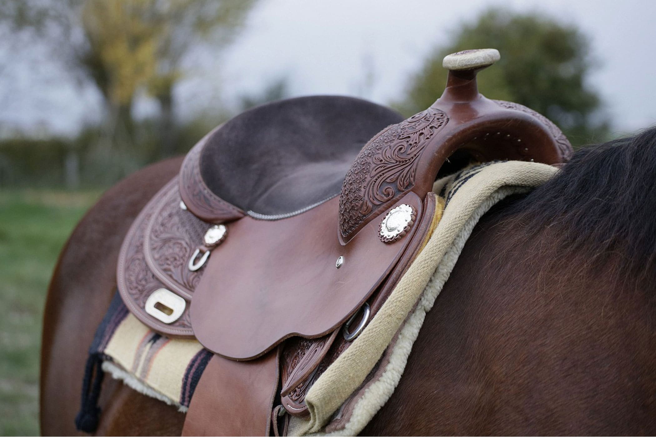 Achieving the Ideal Saddle Fit for Your Horse