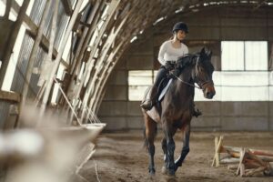 Techniques for Promoting Relaxation in Your Horse While Riding