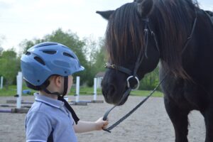 Riding Helmet for Every Equestrian