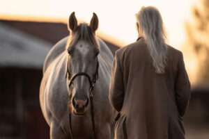 Senior Horse's Dental Health