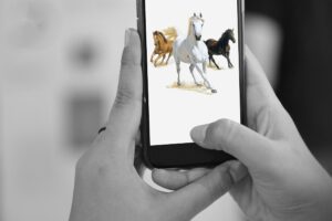 The Best Apps for Equestrians