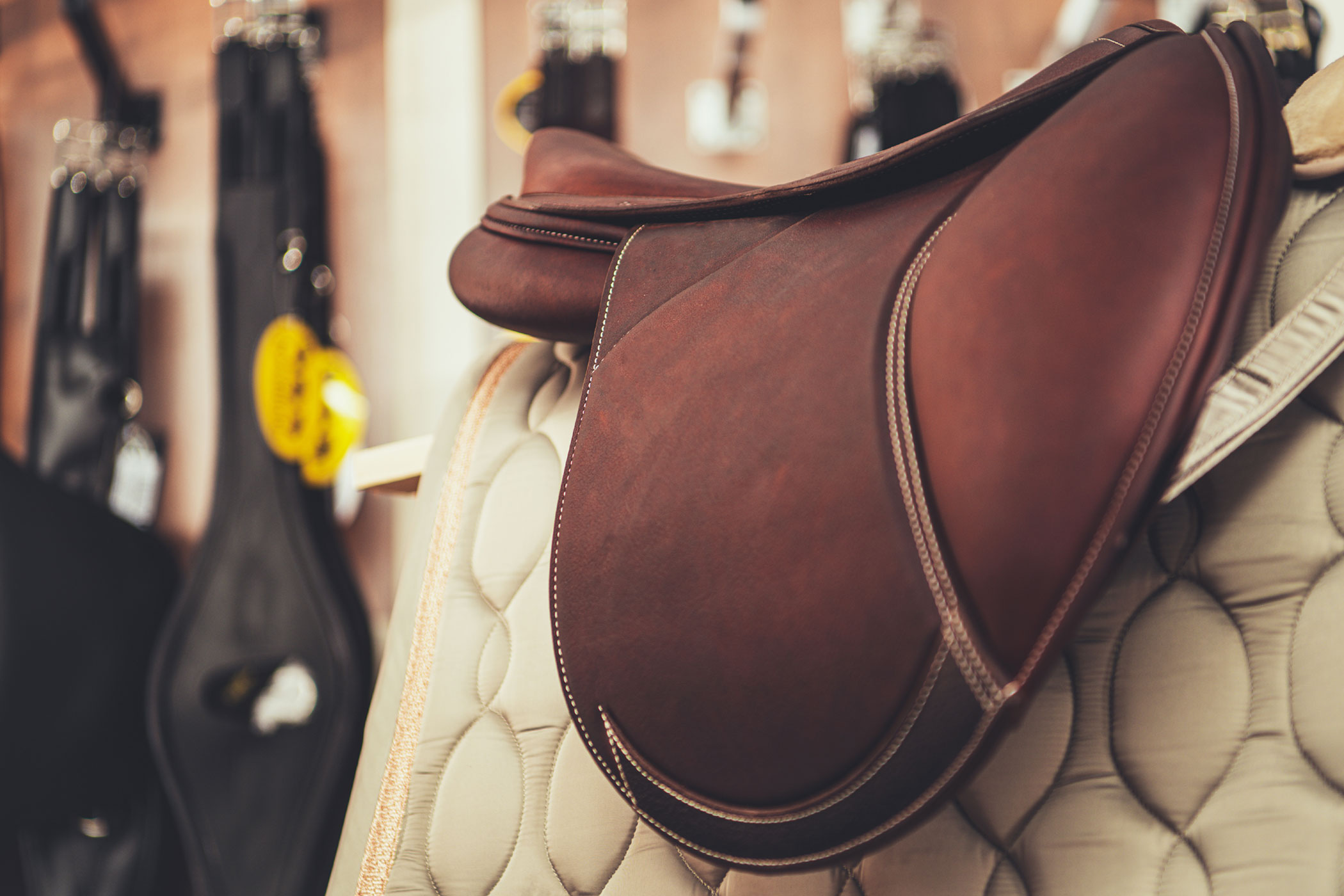 Maintaining and Organizing Your Tack Room