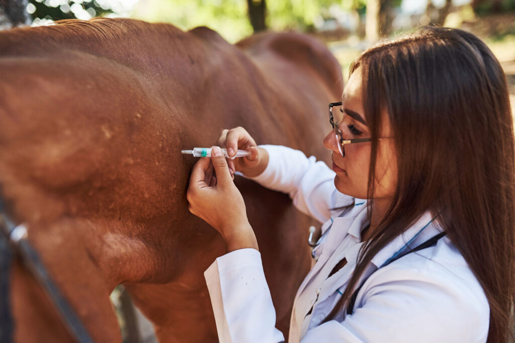 Horse Vaccinations